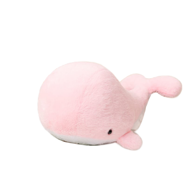 PINK | WHALE